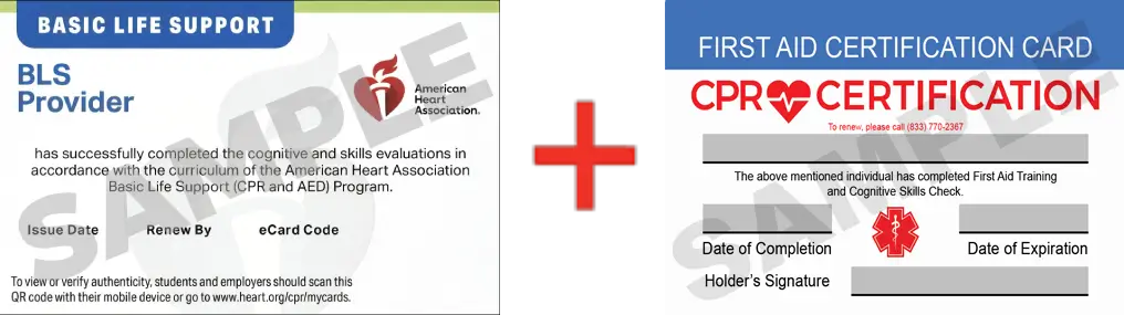 Sample American Heart Association AHA BLS CPR Card Certification and First Aid Certification Card from CPR Certification Las Vegas